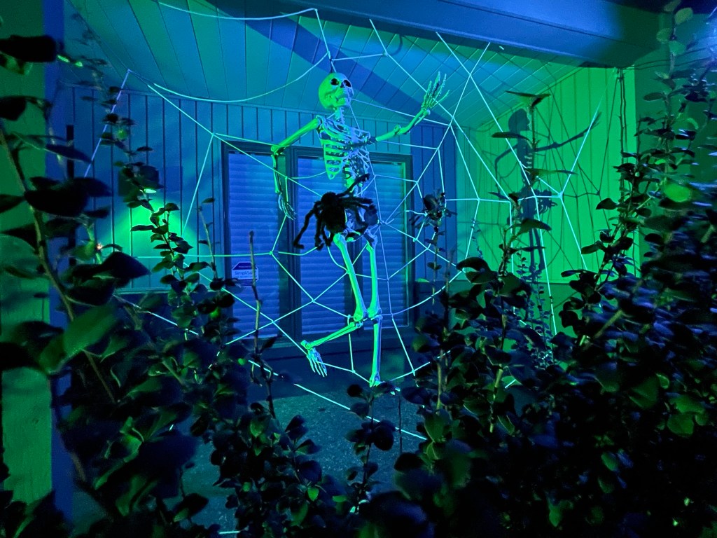 Skeleton hanging on spider web with spider on its hip in dramatic blue and green lighting.